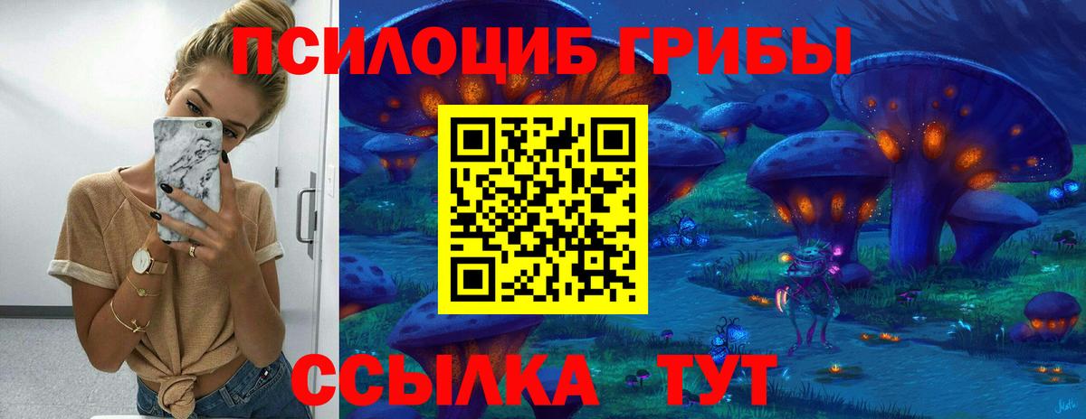 Псилоцибиновые грибы Cubensis Ахтубинск